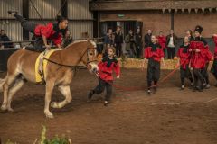 Jubileumshow-Voltigevereniging-de-Eemsrakkers_2629