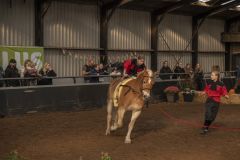Jubileumshow-Voltigevereniging-de-Eemsrakkers_2640