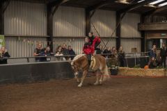 Jubileumshow-Voltigevereniging-de-Eemsrakkers_2660
