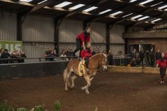 Jubileumshow-Voltigevereniging-de-Eemsrakkers_2665