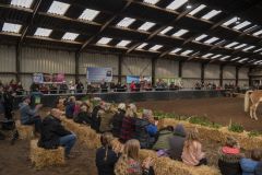 Jubileumshow-Voltigevereniging-de-Eemsrakkers_2685