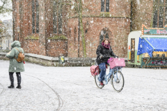 Sneeuwval_1056