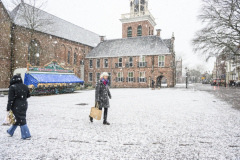 Sneeuwval_1392