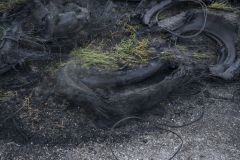 Bermbrand-Holeweg-N33_6956