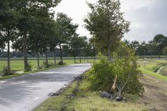 Ongeval-Wagenborgen4