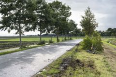 Ongeval-Wagenborgen5