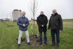 Aanplanten-bomen-Kustweg-Delfzijl_7985