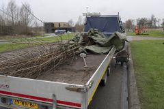 Aanplanten-bomen-Kustweg-Delfzijl_8113