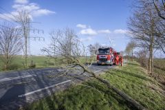 Boom-op-N362-Meedhuizen_4240