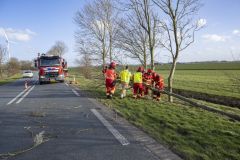 Boom-op-N362-Meedhuizen_4269