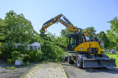 Boom-op-auto-Prins-Bernhardlaan_2999