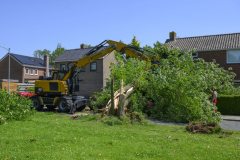 Boom-op-auto-Prins-Bernhardlaan_3060
