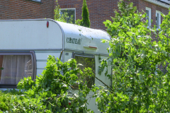 Boom-op-auto-Prins-Bernhardlaan_3145
