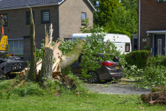 Boom-op-auto-Prins-Bernhardlaan_3243