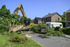 Boom-op-auto-Prins-Bernhardlaan_3276