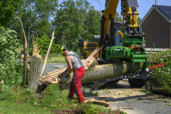 Boom-op-auto-Prins-Bernhardlaan_3442