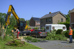 Boom-op-auto-Prins-Bernhardlaan_3490