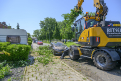 Boom-op-auto-Prins-Bernhardlaan_3584