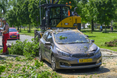 Boom-op-auto-Prins-Bernhardlaan_3639