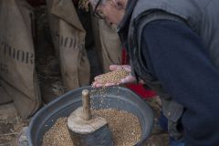 Oldtimerdag-Leermens13