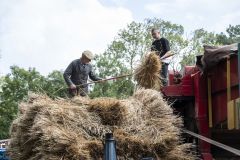 Oldtimerdag-Leermens15