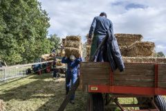 Oldtimerdag-Leermens18