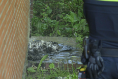 Brand-Buiten-Singel_8986