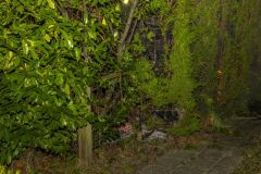 Brandje-Horsbornplaat-Delfzijl_1875