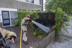brandje-Kleine-Belt6