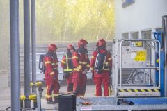 Brandje-Sikkel-3