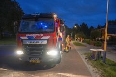 Brandje-Uitwierderweg_7367