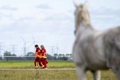 Paard-te-water-Damsterweg-Oosterwijtwerd_3534