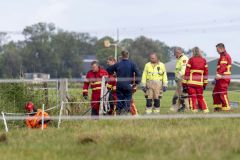 Paard-te-water-Damsterweg-Oosterwijtwerd_3683