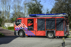 Kat-in-de-boom-Meeuwenstaart_4138
