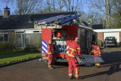 Kat-in-de-boom-Meeuwenstaart_4401