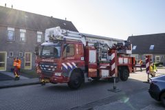 Kat-op-het-dak-Maisveld-Delfzijl_1276