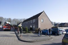 Kat-op-het-dak-Maisveld-Delfzijl_1297