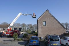 Kat-op-het-dak-Maisveld-Delfzijl_1354