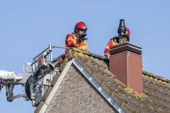 Kat-op-het-dak-Maisveld-Delfzijl_1396