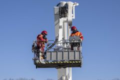 Kat-op-het-dak-Maisveld-Delfzijl_1466