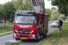 Kat-op-het-dak-Meedensingel-Appingedam_7651