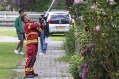 Kat-op-het-dak-Meedensingel-Appingedam_7840