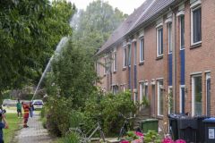 Kat-op-het-dak-Meedensingel-Appingedam_7856