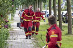 Kat-op-het-dak-Meedensingel-Appingedam_7967