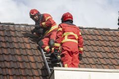 Kat-op-het-dak-Meedensingel-Appingedam_8270