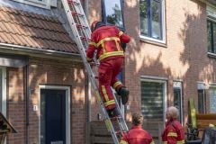 Kat-op-het-dak-Meedensingel-Appingedam_8338