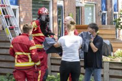 Kat-op-het-dak-Meedensingel-Appingedam_8357