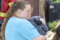 Kat-op-het-dak-Meedensingel-Appingedam_8406