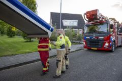 Kind-vast-in-boom-Zwanendrift-Delfzijl_2501