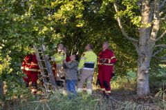 Kind-vast-in-boom-Zwanendrift-Delfzijl_2545